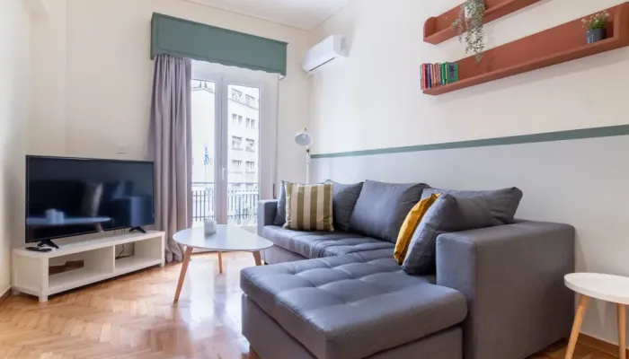 Living room with grey sofa